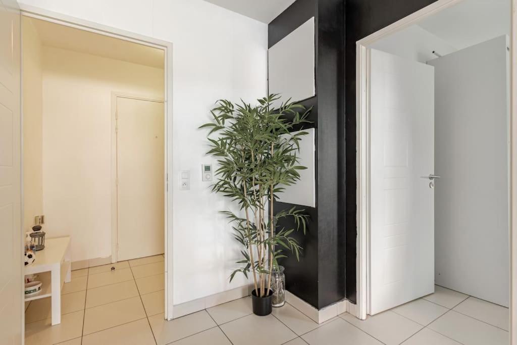 Appartement Cosy Et Chic Montpellier Esterno foto